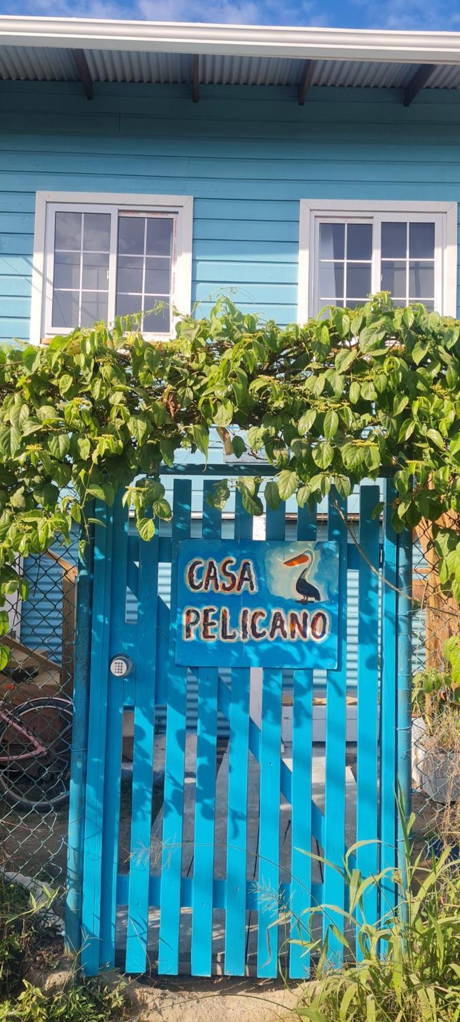 Casa Pelicano Bocas del Toro Exteriér fotografie