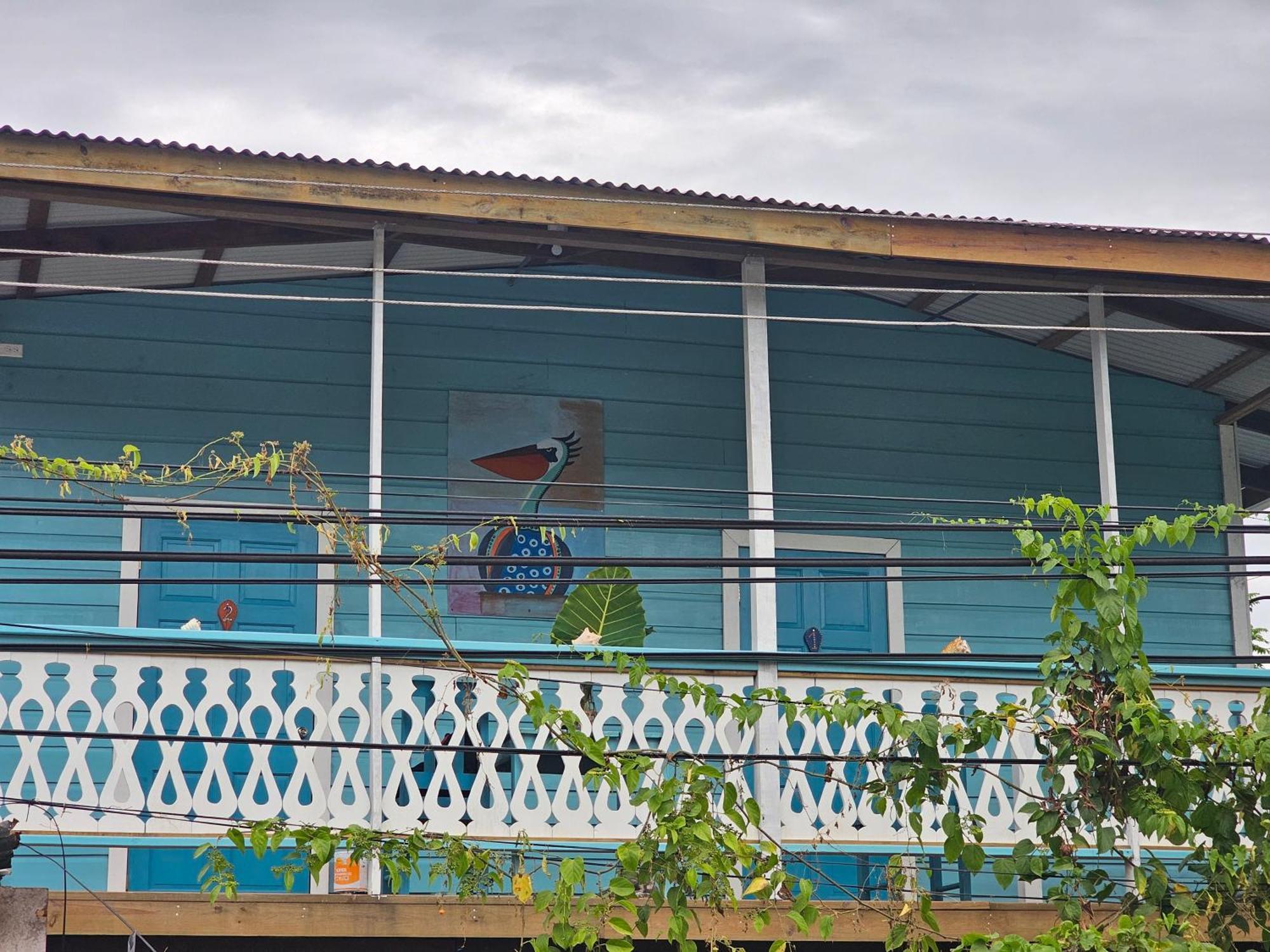 Casa Pelicano Bocas del Toro Exteriér fotografie